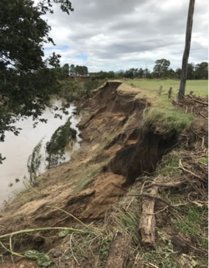 Flood effects following ex-tropical cyclone Debbie on an eroded streambank adjacent to the Queensland Urban Utilities offset
