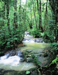 Photo of Tully Gorge National Park.