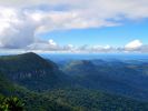 Gondwana Rainforests