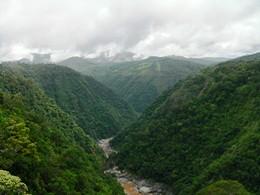 Photo of Barron Gorge National Park.
