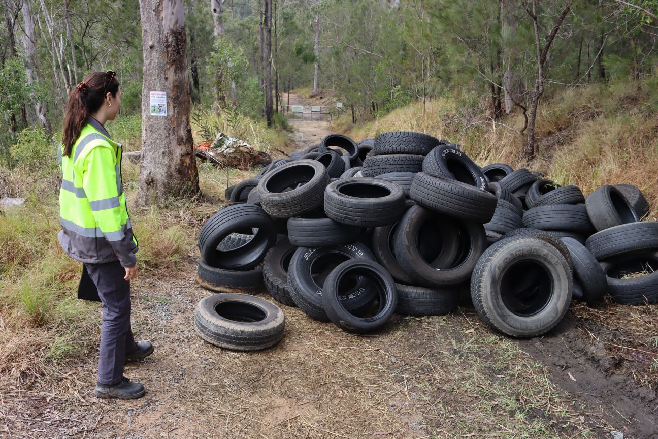 A compliance officer looking at illegally dumped tyres