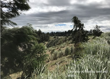 Intact Queensland Urban Utilities repaired streambank